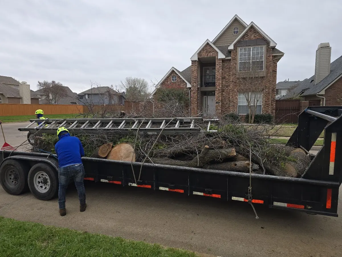 Expert Tree Pest Control with proper safety equipment in Nortonville